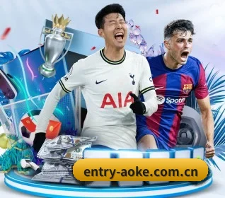 entry-aoke.com.cn APP 界面