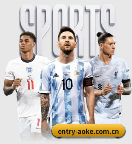 entry-aoke.com.cn的方向